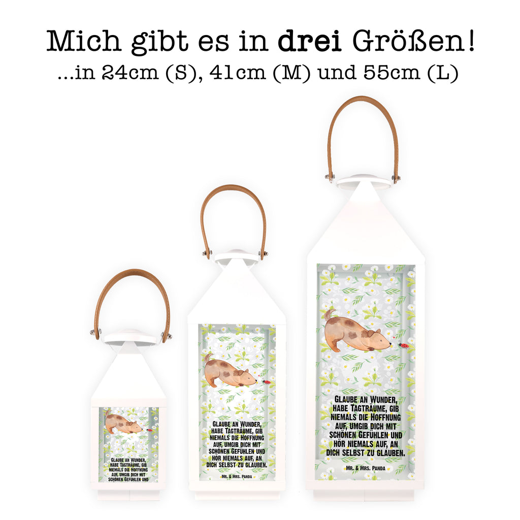 Deko Laterne Hund Marienkäfer Gartenlampe, Gartenleuchte, Gartendekoration, Gartenlicht, Laterne  kleine Laternen, XXL Laternen, Laterne groß, Hund, Hundemotiv, Haustier, Hunderasse, Tierliebhaber, Hundebesitzer, Sprüche, Hunde, Hundespruch, Marienkäfer, Mischling, Mischlinghund