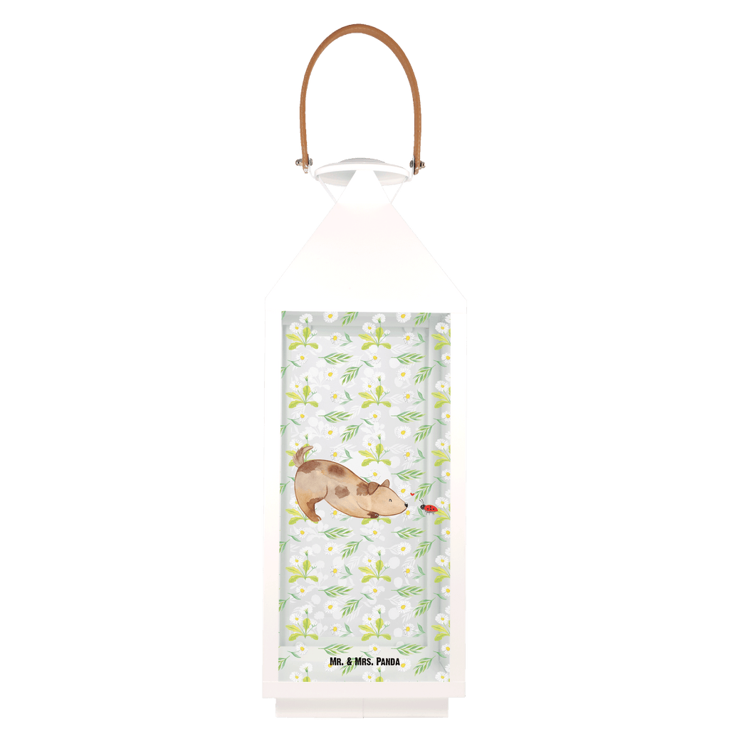 Deko Laterne Hund Marienkäfer Gartenlampe, Gartenleuchte, Gartendekoration, Gartenlicht, Laterne  kleine Laternen, XXL Laternen, Laterne groß, Hund, Hundemotiv, Haustier, Hunderasse, Tierliebhaber, Hundebesitzer, Sprüche, Hunde, Hundespruch, Marienkäfer, Mischling, Mischlinghund