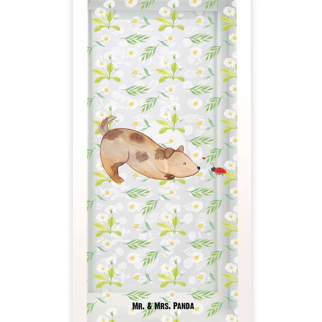 Deko Laterne Hund Marienkäfer Gartenlampe, Gartenleuchte, Gartendekoration, Gartenlicht, Laterne  kleine Laternen, XXL Laternen, Laterne groß, Hund, Hundemotiv, Haustier, Hunderasse, Tierliebhaber, Hundebesitzer, Sprüche, Hunde, Hundespruch, Marienkäfer, Mischling, Mischlinghund