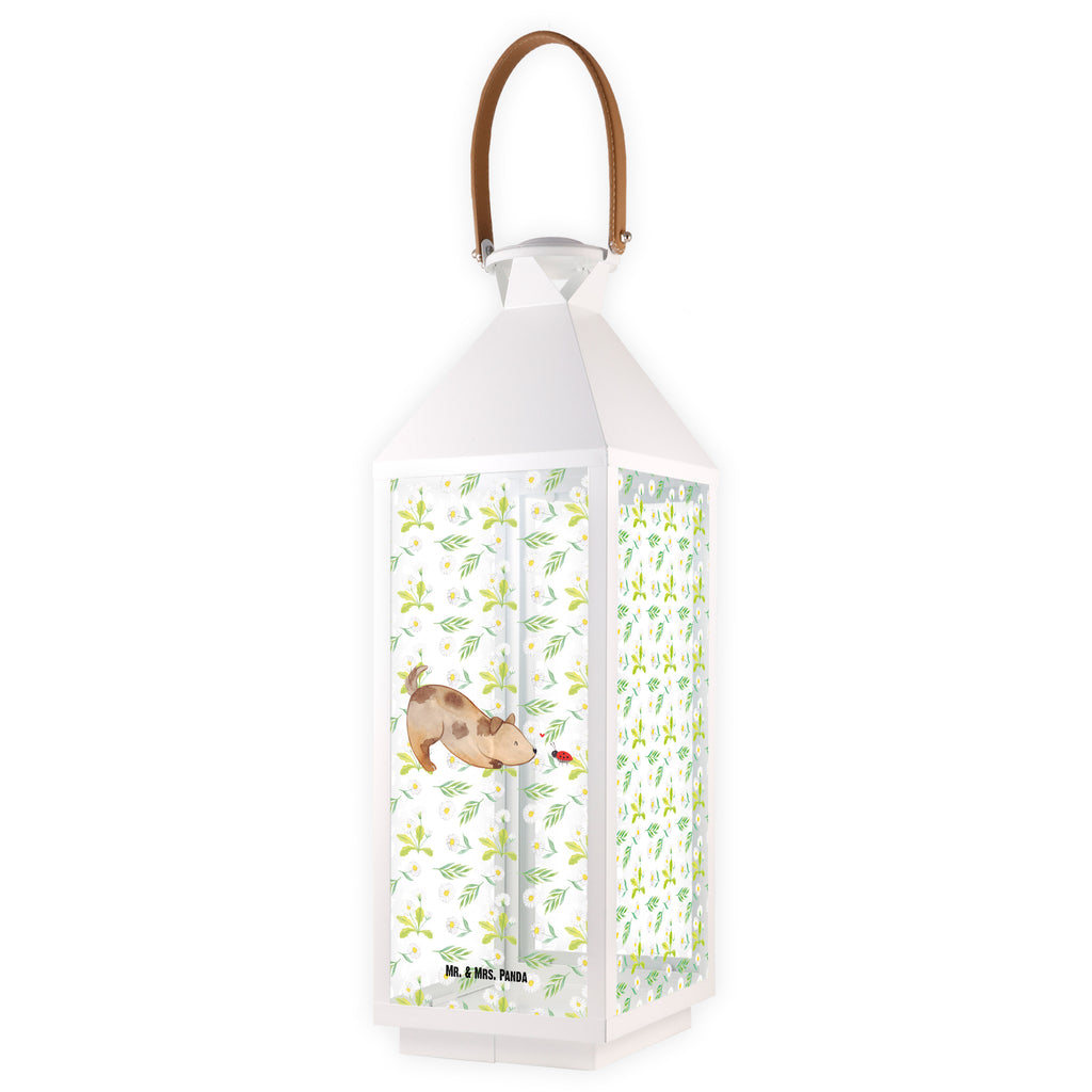 Deko Laterne Hund Marienkäfer Gartenlampe, Gartenleuchte, Gartendekoration, Gartenlicht, Laterne  kleine Laternen, XXL Laternen, Laterne groß, Hund, Hundemotiv, Haustier, Hunderasse, Tierliebhaber, Hundebesitzer, Sprüche, Hunde, Hundespruch, Marienkäfer, Mischling, Mischlinghund