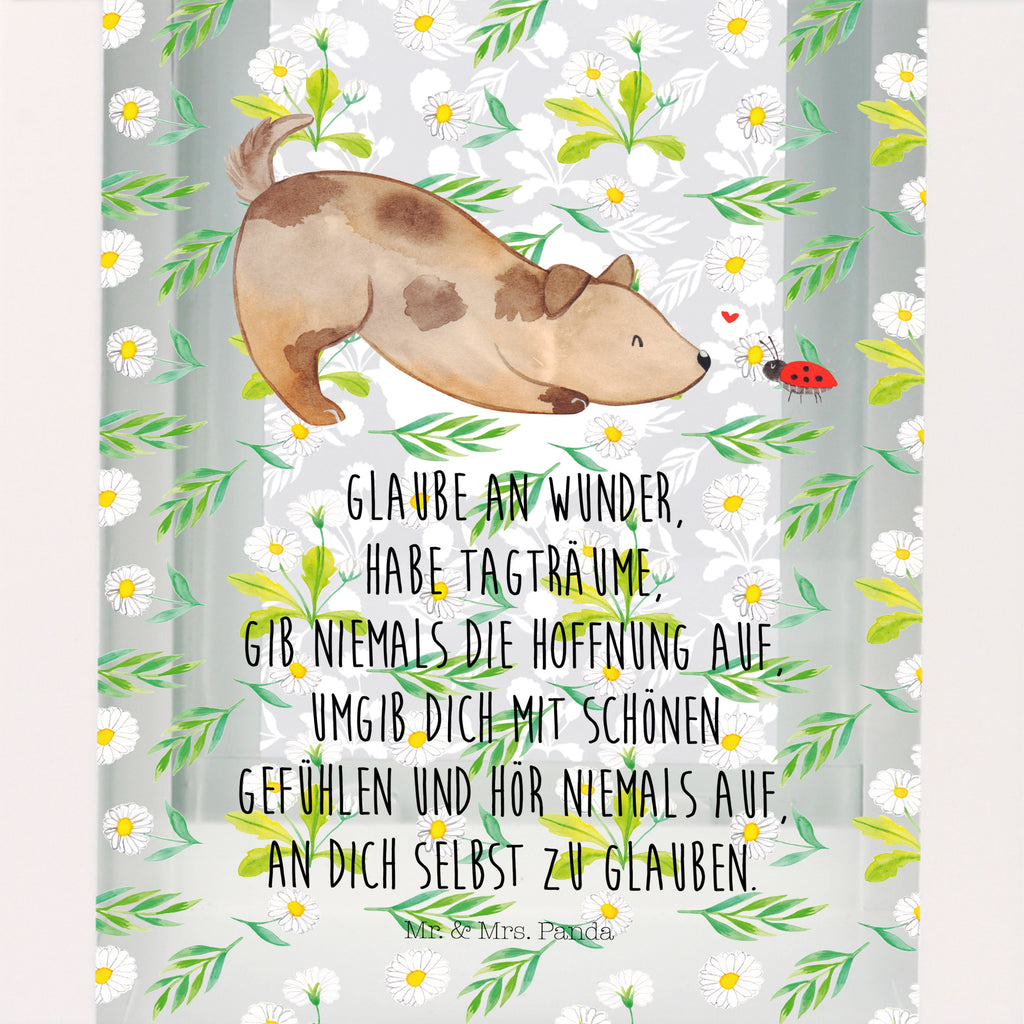 Deko Laterne Hund Marienkäfer Gartenlampe, Gartenleuchte, Gartendekoration, Gartenlicht, Laterne  kleine Laternen, XXL Laternen, Laterne groß, Hund, Hundemotiv, Haustier, Hunderasse, Tierliebhaber, Hundebesitzer, Sprüche, Hunde, Hundespruch, Marienkäfer, Mischling, Mischlinghund