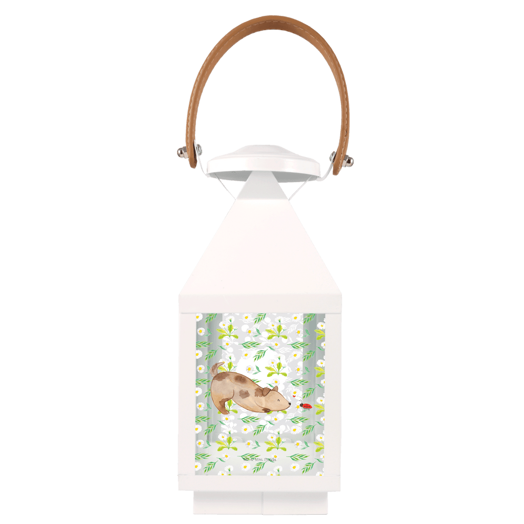 Deko Laterne Hund Marienkäfer Gartenlampe, Gartenleuchte, Gartendekoration, Gartenlicht, Laterne  kleine Laternen, XXL Laternen, Laterne groß, Hund, Hundemotiv, Haustier, Hunderasse, Tierliebhaber, Hundebesitzer, Sprüche, Hunde, Hundespruch, Marienkäfer, Mischling, Mischlinghund