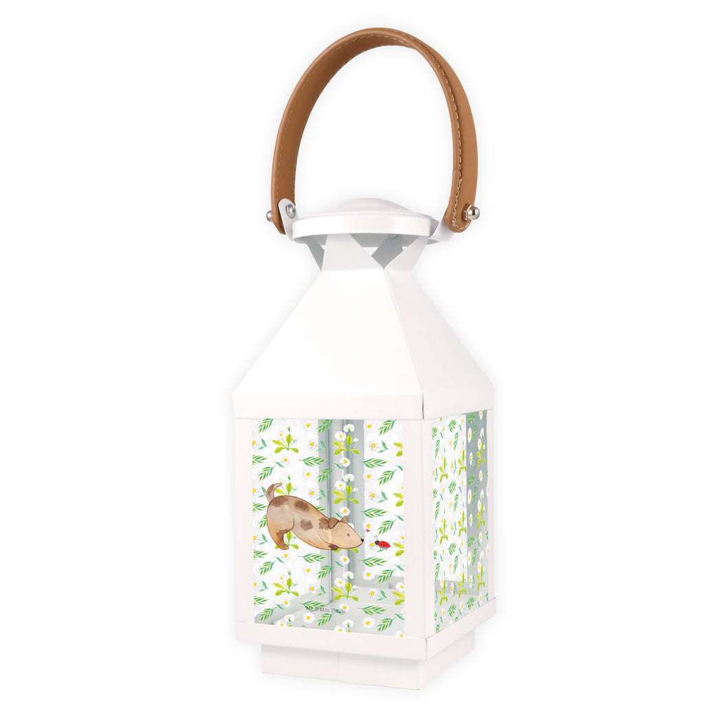 Deko Laterne Hund Marienkäfer Gartenlampe, Gartenleuchte, Gartendekoration, Gartenlicht, Laterne  kleine Laternen, XXL Laternen, Laterne groß, Hund, Hundemotiv, Haustier, Hunderasse, Tierliebhaber, Hundebesitzer, Sprüche, Hunde, Hundespruch, Marienkäfer, Mischling, Mischlinghund