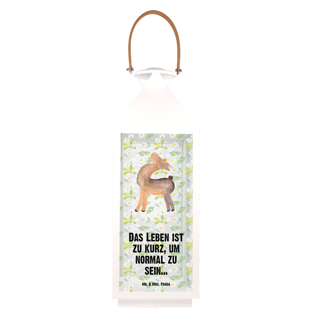 Deko Laterne Lama stolz Gartenlampe, Gartenleuchte, Gartendekoration, Gartenlicht, Laterne  kleine Laternen, XXL Laternen, Laterne groß, Lama, Alpaka, Lamas, Außenseiter, Anders, Neustart, stolz, Hippie, Freundin, Freundinnen, beste Freundin, Kumpel, Familie, Family