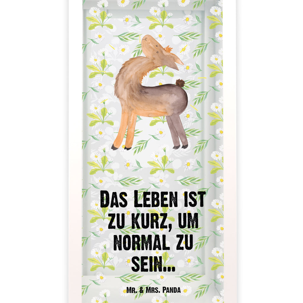 Deko Laterne Lama stolz Gartenlampe, Gartenleuchte, Gartendekoration, Gartenlicht, Laterne  kleine Laternen, XXL Laternen, Laterne groß, Lama, Alpaka, Lamas, Außenseiter, Anders, Neustart, stolz, Hippie, Freundin, Freundinnen, beste Freundin, Kumpel, Familie, Family