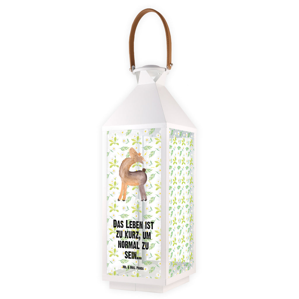 Deko Laterne Lama stolz Gartenlampe, Gartenleuchte, Gartendekoration, Gartenlicht, Laterne  kleine Laternen, XXL Laternen, Laterne groß, Lama, Alpaka, Lamas, Außenseiter, Anders, Neustart, stolz, Hippie, Freundin, Freundinnen, beste Freundin, Kumpel, Familie, Family