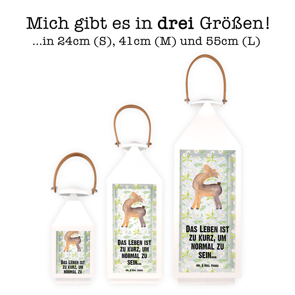 Deko Laterne Lama stolz Gartenlampe, Gartenleuchte, Gartendekoration, Gartenlicht, Laterne  kleine Laternen, XXL Laternen, Laterne groß, Lama, Alpaka, Lamas, Außenseiter, Anders, Neustart, stolz, Hippie, Freundin, Freundinnen, beste Freundin, Kumpel, Familie, Family