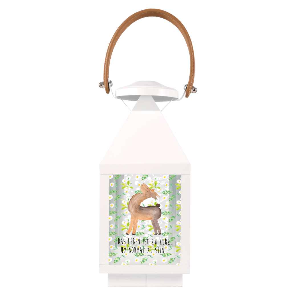 Deko Laterne Lama stolz Gartenlampe, Gartenleuchte, Gartendekoration, Gartenlicht, Laterne  kleine Laternen, XXL Laternen, Laterne groß, Lama, Alpaka, Lamas, Außenseiter, Anders, Neustart, stolz, Hippie, Freundin, Freundinnen, beste Freundin, Kumpel, Familie, Family
