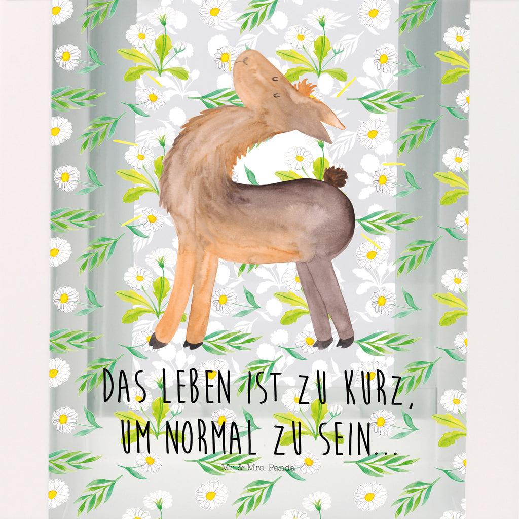 Deko Laterne Lama stolz Gartenlampe, Gartenleuchte, Gartendekoration, Gartenlicht, Laterne  kleine Laternen, XXL Laternen, Laterne groß, Lama, Alpaka, Lamas, Außenseiter, Anders, Neustart, stolz, Hippie, Freundin, Freundinnen, beste Freundin, Kumpel, Familie, Family