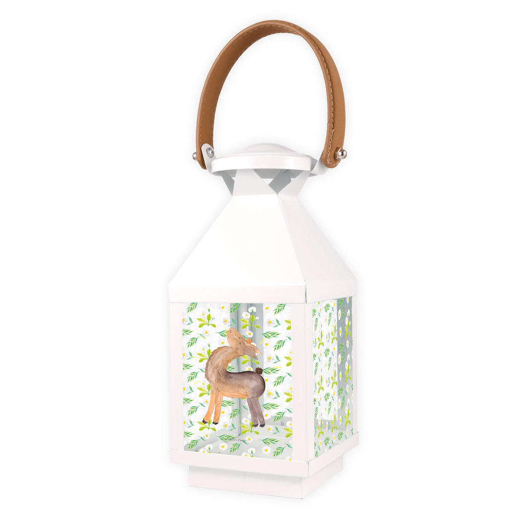 Deko Laterne Lama stolz Gartenlampe, Gartenleuchte, Gartendekoration, Gartenlicht, Laterne  kleine Laternen, XXL Laternen, Laterne groß, Lama, Alpaka, Lamas, Außenseiter, Anders, Neustart, stolz, Hippie, Freundin, Freundinnen, beste Freundin, Kumpel, Familie, Family