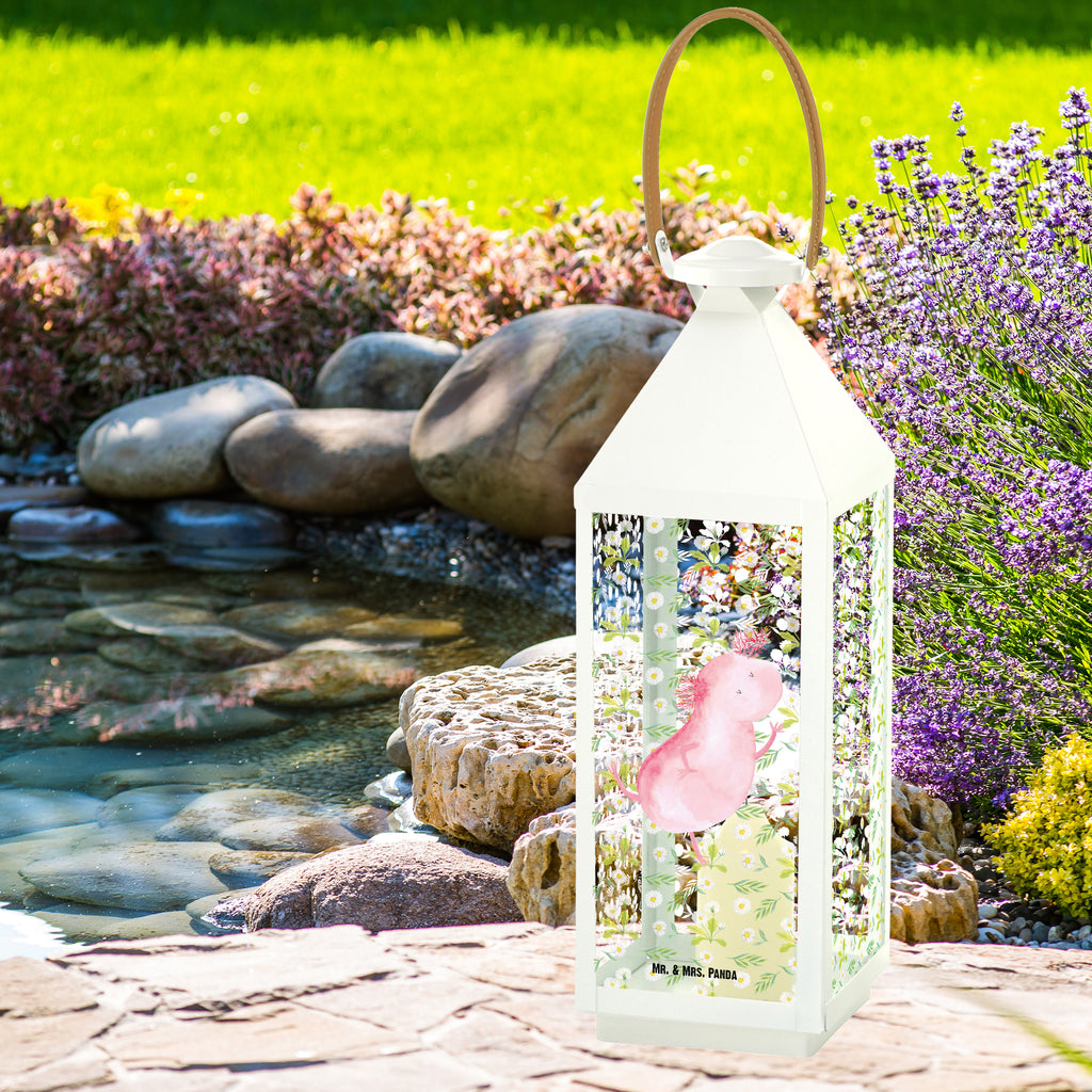 Deko Laterne Axolotl tanzt Gartenlampe, Gartenleuchte, Gartendekoration, Gartenlicht, Laterne  kleine Laternen, XXL Laternen, Laterne groß, Axolotl, Molch, Axolot, Schwanzlurch, Lurch, Lurche, Dachschaden, Sterne, verrückt, Freundin, beste Freundin
