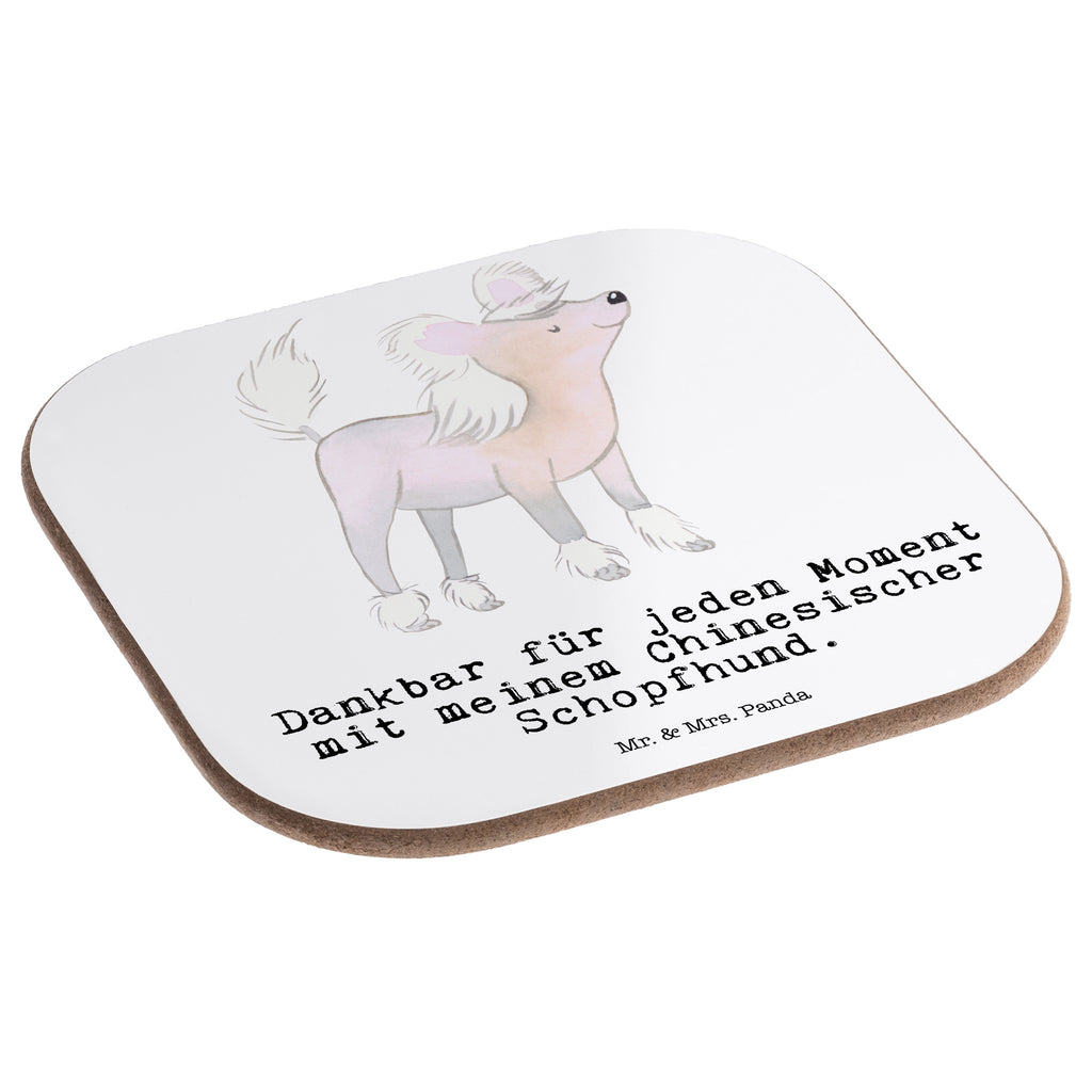 Quadratische Untersetzer Chinesischer Schopfhund Moment Bierdeckel, Glasuntersetzer, Untersetzer Gläser, Getränkeuntersetzer, Hund, Hunderasse, Rassehund, Hundebesitzer, Geschenk, Tierfreund, Schenken, Welpe, Chinesischer Schopfhund, Chinese Crested Dog