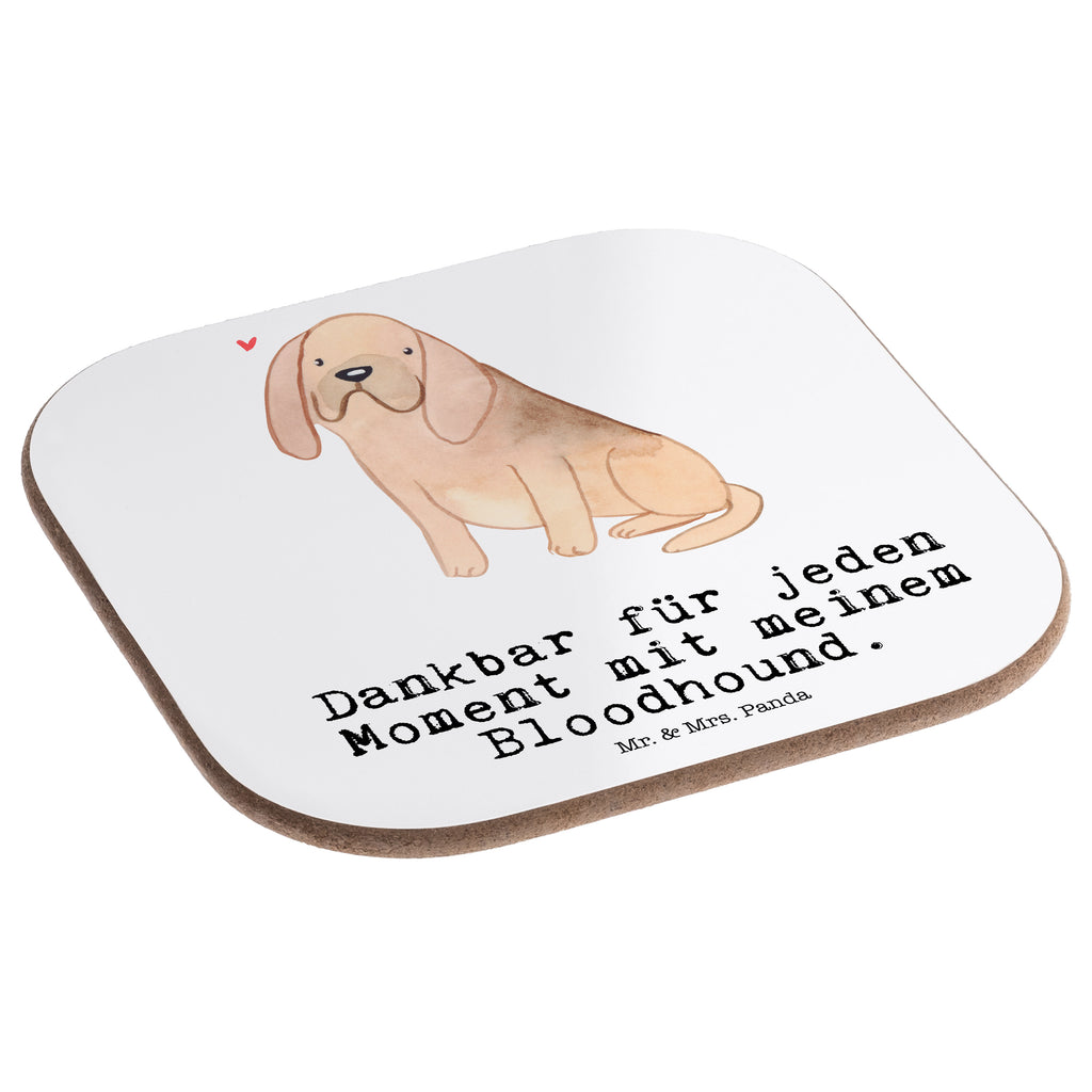 Quadratische Untersetzer Bloodhound Moment Bierdeckel, Glasuntersetzer, Untersetzer Gläser, Getränkeuntersetzer, Hund, Hunderasse, Rassehund, Hundebesitzer, Geschenk, Tierfreund, Schenken, Welpe, Bluthund, Bloodhound, St. Hubertushund, Chien de Saint Hubert