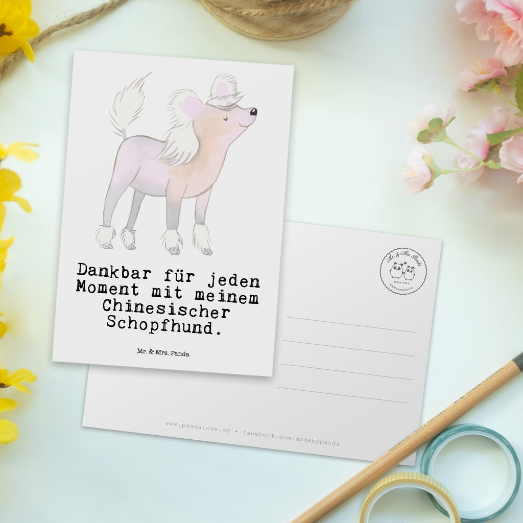 Postkarte Chinesischer Schopfhund Moment Geschenkkarte, Grußkarte, Karte, Einladung, Ansichtskarte, Geburtstagskarte, Einladungskarte, Dankeskarte, Hund, Hunderasse, Rassehund, Hundebesitzer, Geschenk, Tierfreund, Schenken, Welpe, Chinesischer Schopfhund, Chinese Crested Dog