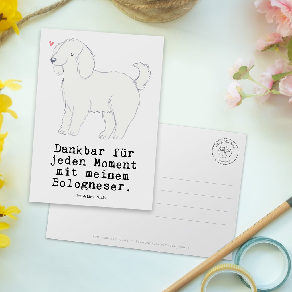 Postkarte Bologneser Moment Geschenkkarte, Grußkarte, Karte, Einladung, Ansichtskarte, Geburtstagskarte, Einladungskarte, Dankeskarte, Hund, Hunderasse, Rassehund, Hundebesitzer, Geschenk, Tierfreund, Schenken, Welpe, Bologneser