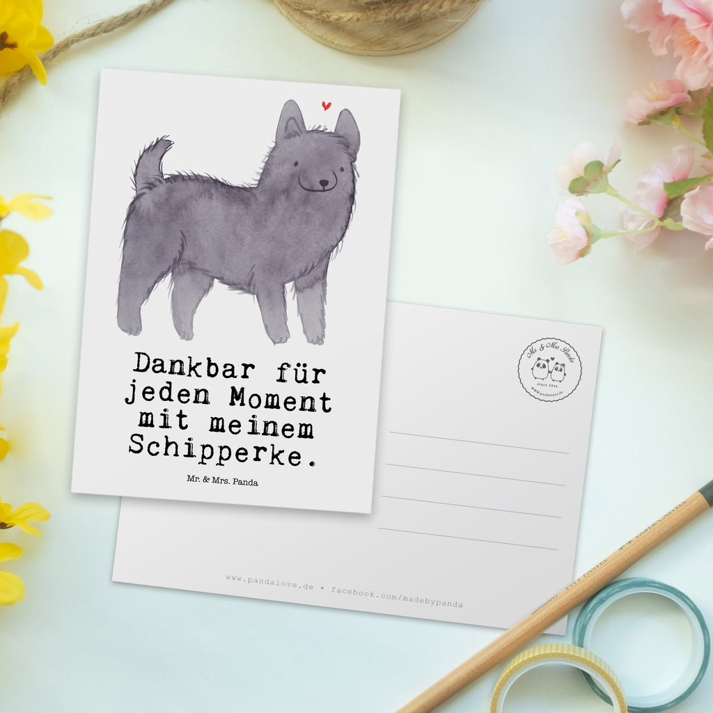 Postkarte Schipperke Moment Geschenkkarte, Grußkarte, Karte, Einladung, Ansichtskarte, Geburtstagskarte, Einladungskarte, Dankeskarte, Hund, Hunderasse, Rassehund, Hundebesitzer, Geschenk, Tierfreund, Schenken, Welpe, Schipperke, belgische Hunderasse