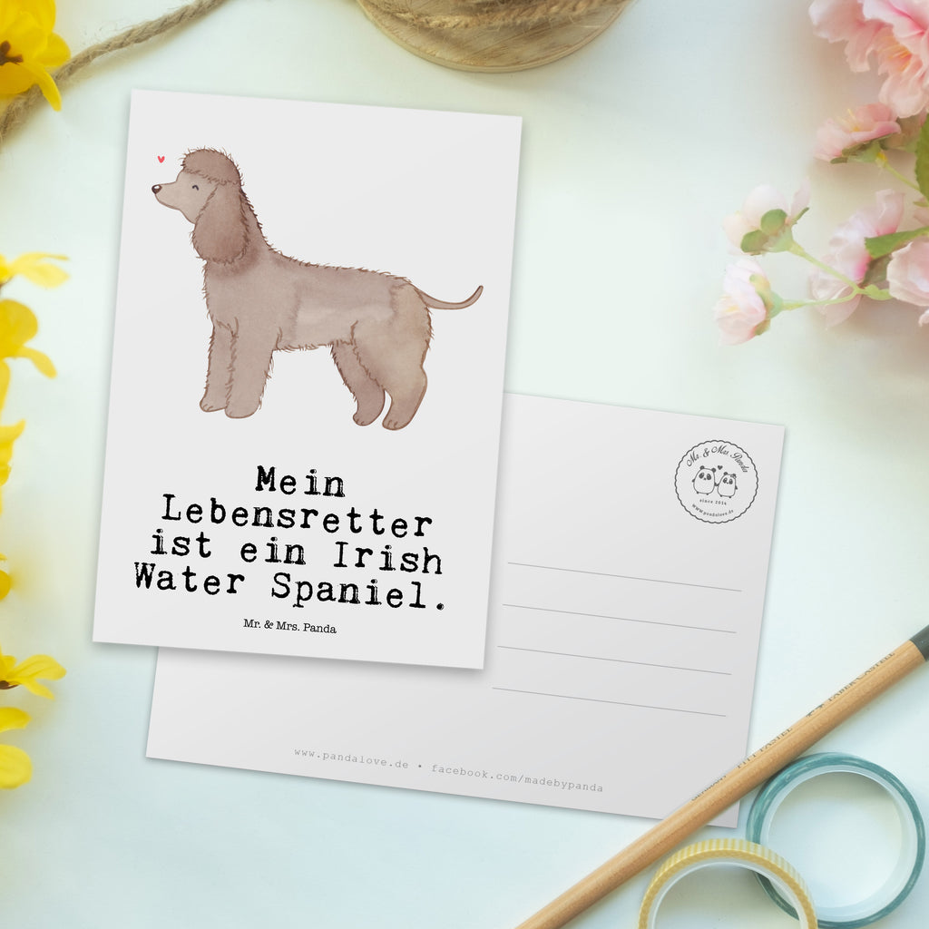 Postkarte Irish Water Spaniel Lebensretter Geschenkkarte, Grußkarte, Karte, Einladung, Ansichtskarte, Geburtstagskarte, Einladungskarte, Dankeskarte, Hund, Hunderasse, Rassehund, Hundebesitzer, Geschenk, Tierfreund, Schenken, Welpe, Irish Water Spaniel, Jagdhund