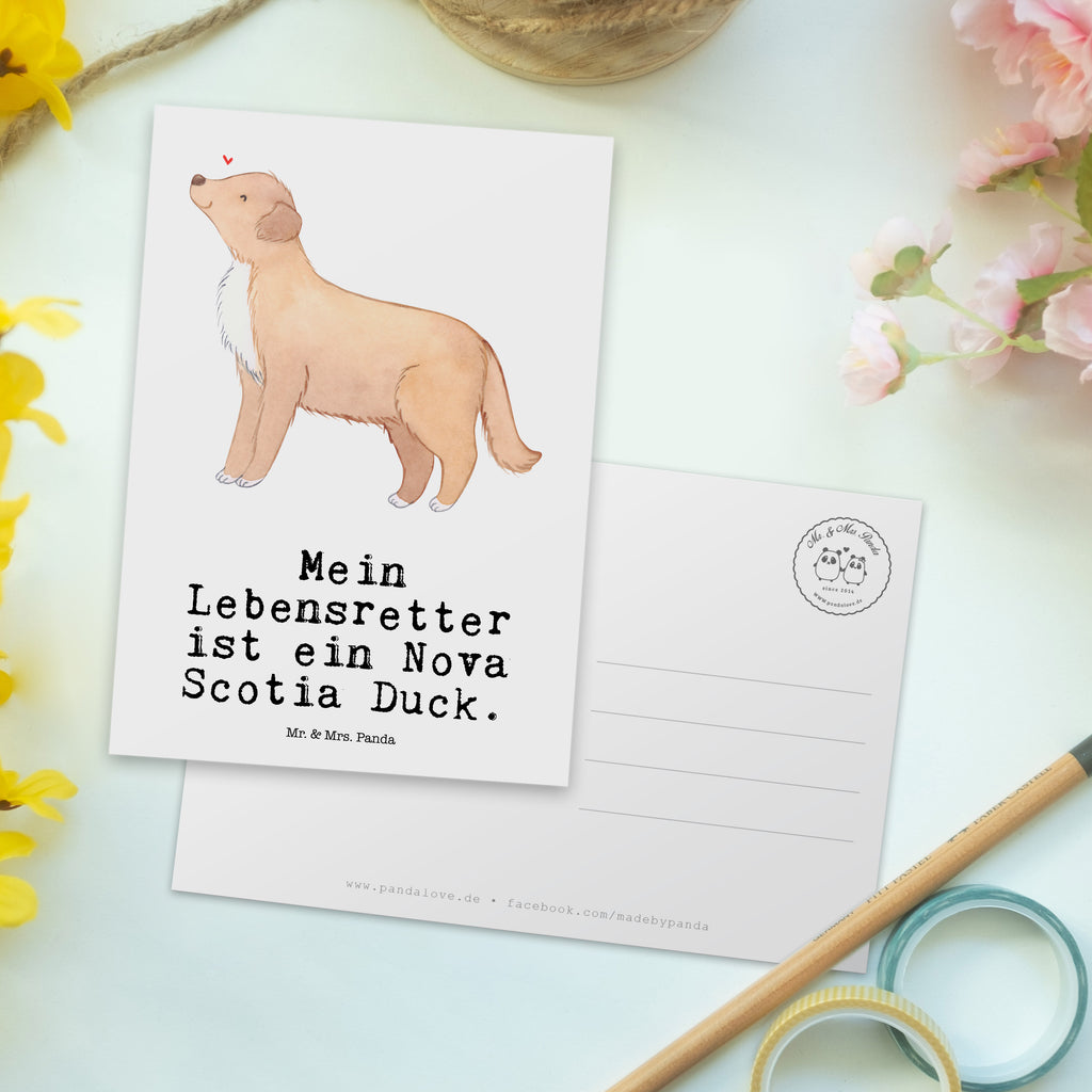 Postkarte Nova Scotia Duck Lebensretter Geschenkkarte, Grußkarte, Karte, Einladung, Ansichtskarte, Geburtstagskarte, Einladungskarte, Dankeskarte, Hund, Hunderasse, Rassehund, Hundebesitzer, Geschenk, Tierfreund, Schenken, Welpe, Nova Scotia Duck Tolling Retriever, Retriever