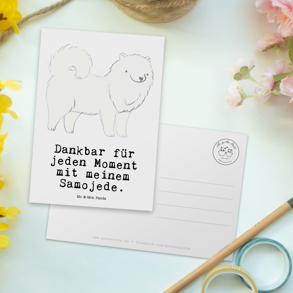 Postkarte Samojede Moment Geschenkkarte, Grußkarte, Karte, Einladung, Ansichtskarte, Geburtstagskarte, Einladungskarte, Dankeskarte, Hund, Hunderasse, Rassehund, Hundebesitzer, Geschenk, Tierfreund, Schenken, Welpe, Samojede, Samojedenhund, Samojedenspitz