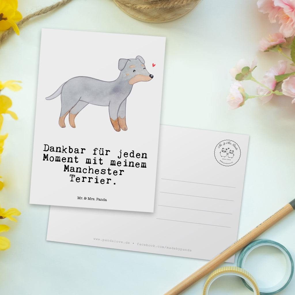 Postkarte Manchester Terrier Moment Geschenkkarte, Grußkarte, Karte, Einladung, Ansichtskarte, Geburtstagskarte, Einladungskarte, Dankeskarte, Hund, Hunderasse, Rassehund, Hundebesitzer, Geschenk, Tierfreund, Schenken, Welpe, Manchester Terrier