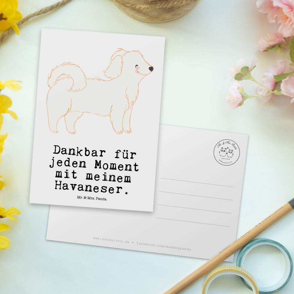 Postkarte Havaneser Moment Geschenkkarte, Grußkarte, Karte, Einladung, Ansichtskarte, Geburtstagskarte, Einladungskarte, Dankeskarte, Hund, Hunderasse, Rassehund, Hundebesitzer, Geschenk, Tierfreund, Schenken, Welpe, Havaneser, Havi, Bichon Havanais, Bichón Habanero