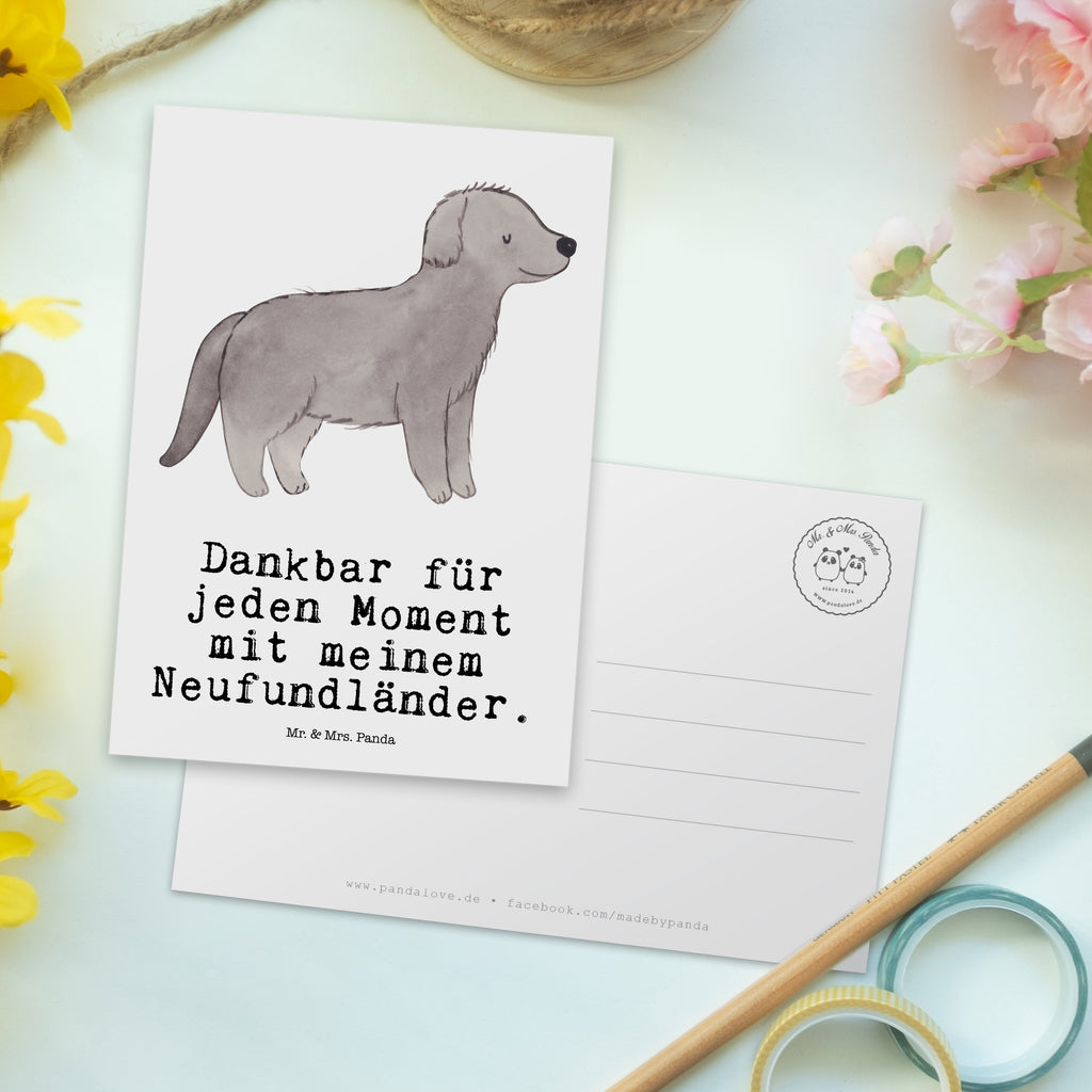 Postkarte Neufundländer Moment Geschenkkarte, Grußkarte, Karte, Einladung, Ansichtskarte, Geburtstagskarte, Einladungskarte, Dankeskarte, Hund, Hunderasse, Rassehund, Hundebesitzer, Geschenk, Tierfreund, Schenken, Welpe, Neufundländer, Newfoundland