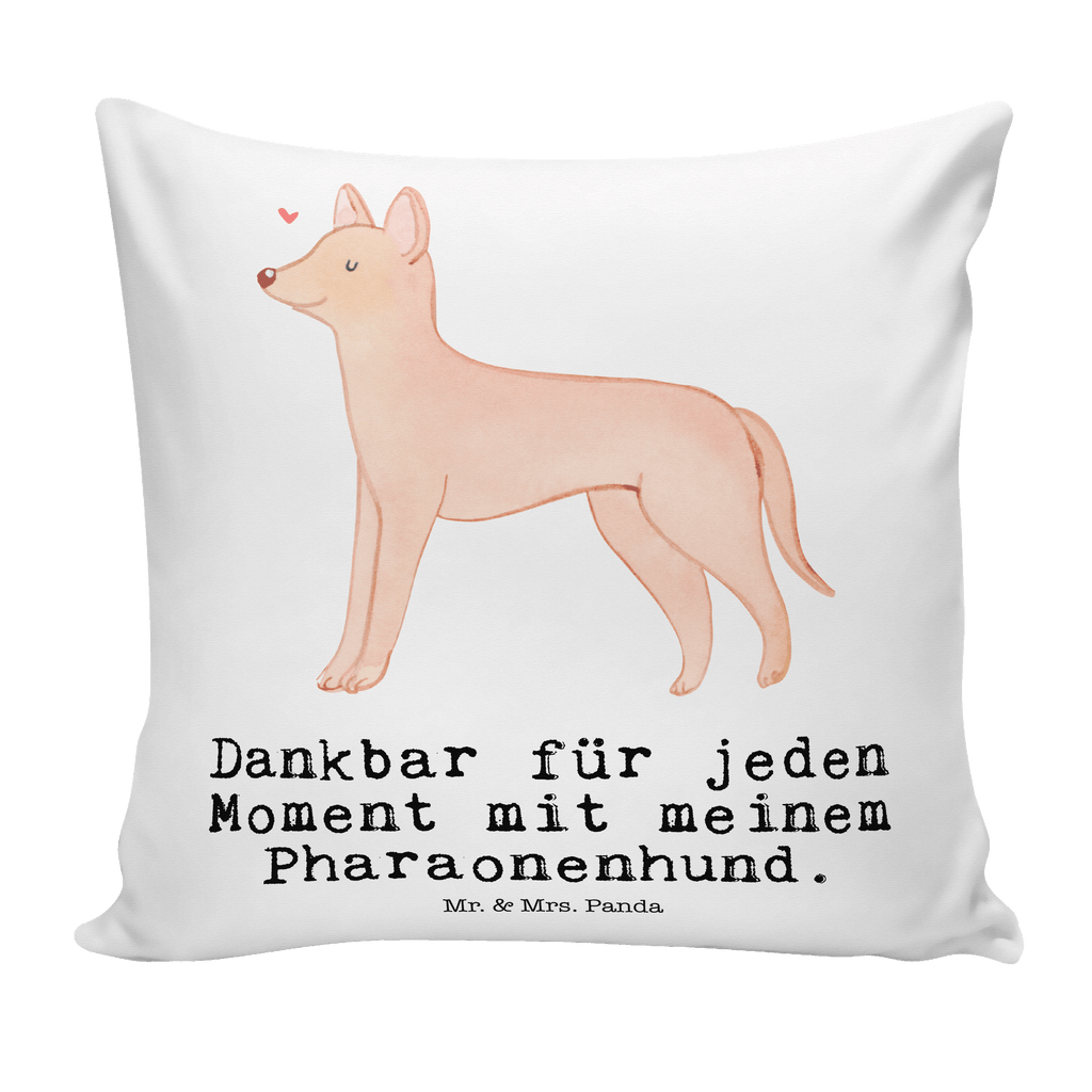 b9f702b3ec7f66c72e3c2c5fa1dd6a57