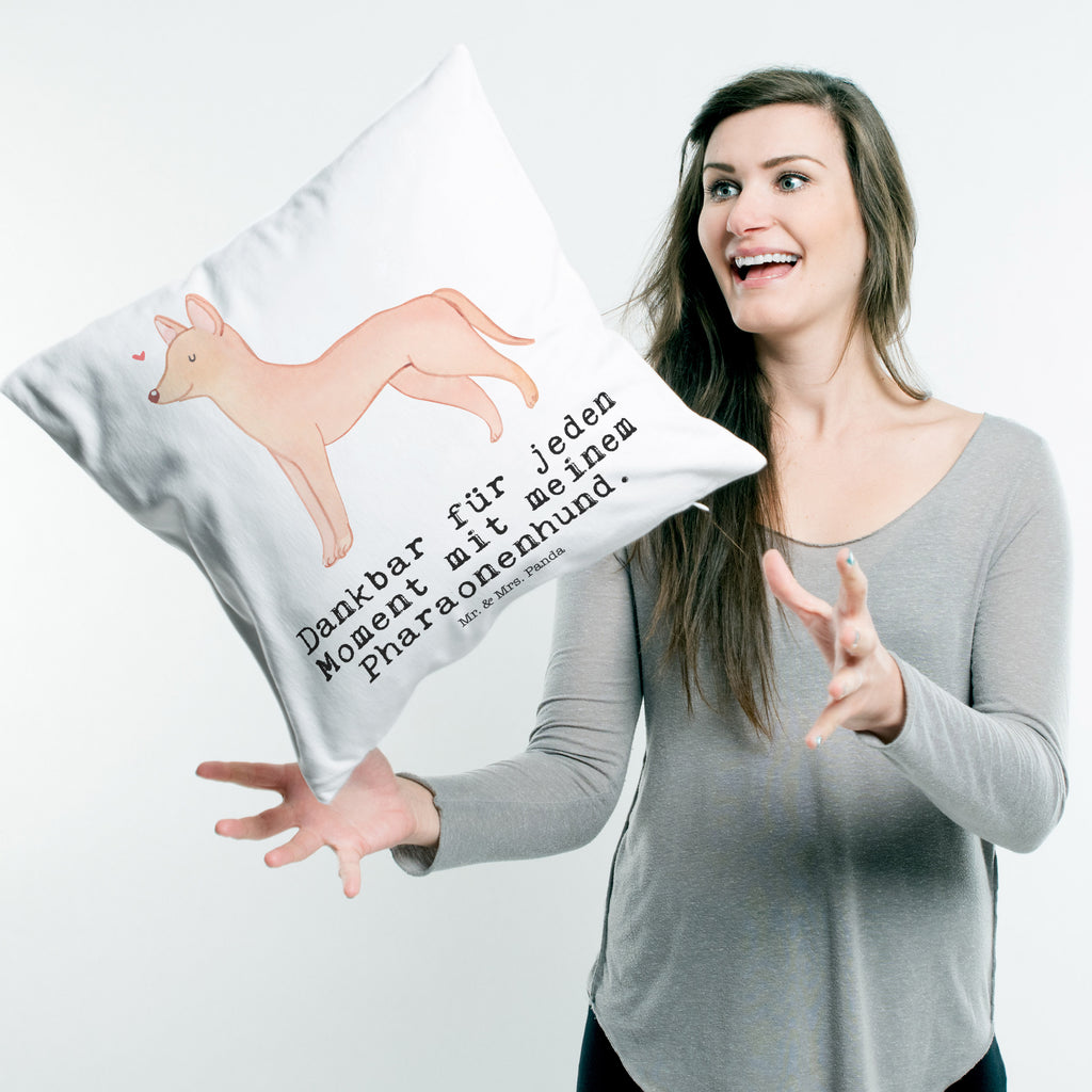 40x40 Kissen Pharaonenhund Moment Kissenhülle, Kopfkissen, Sofakissen, Dekokissen, Motivkissen, Hund, Hunderasse, Rassehund, Hundebesitzer, Geschenk, Tierfreund, Schenken, Welpe, Pharaonenhund, Pharaoh Hound, Kelb tal-Fenek