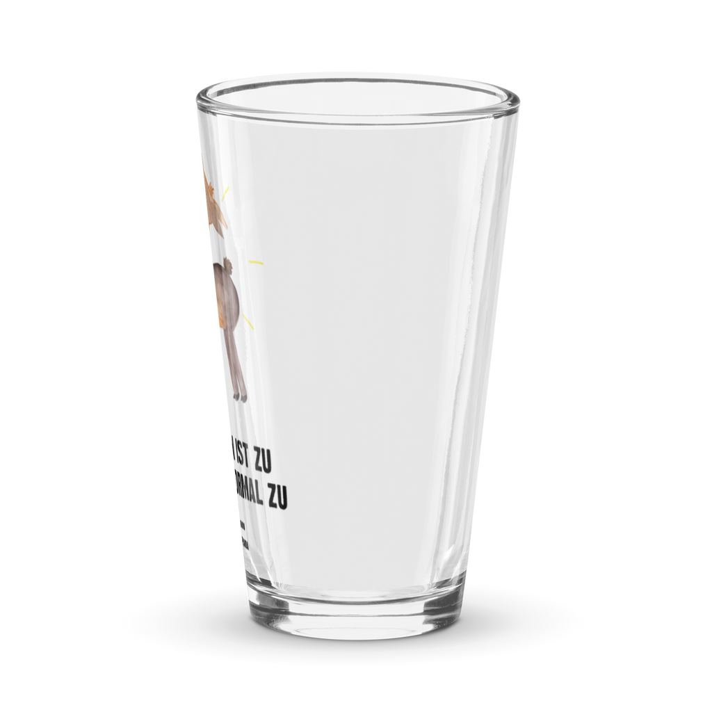 Premium Trinkglas Lama stolz Trinkglas, Glas, Pint Glas, Bierglas, Cocktail Glas, Wasserglas, Lama, Alpaka, Lamas, Außenseiter, Anders, Neustart, stolz, Hippie, Freundin, Freundinnen, beste Freundin, Kumpel, Familie, Family