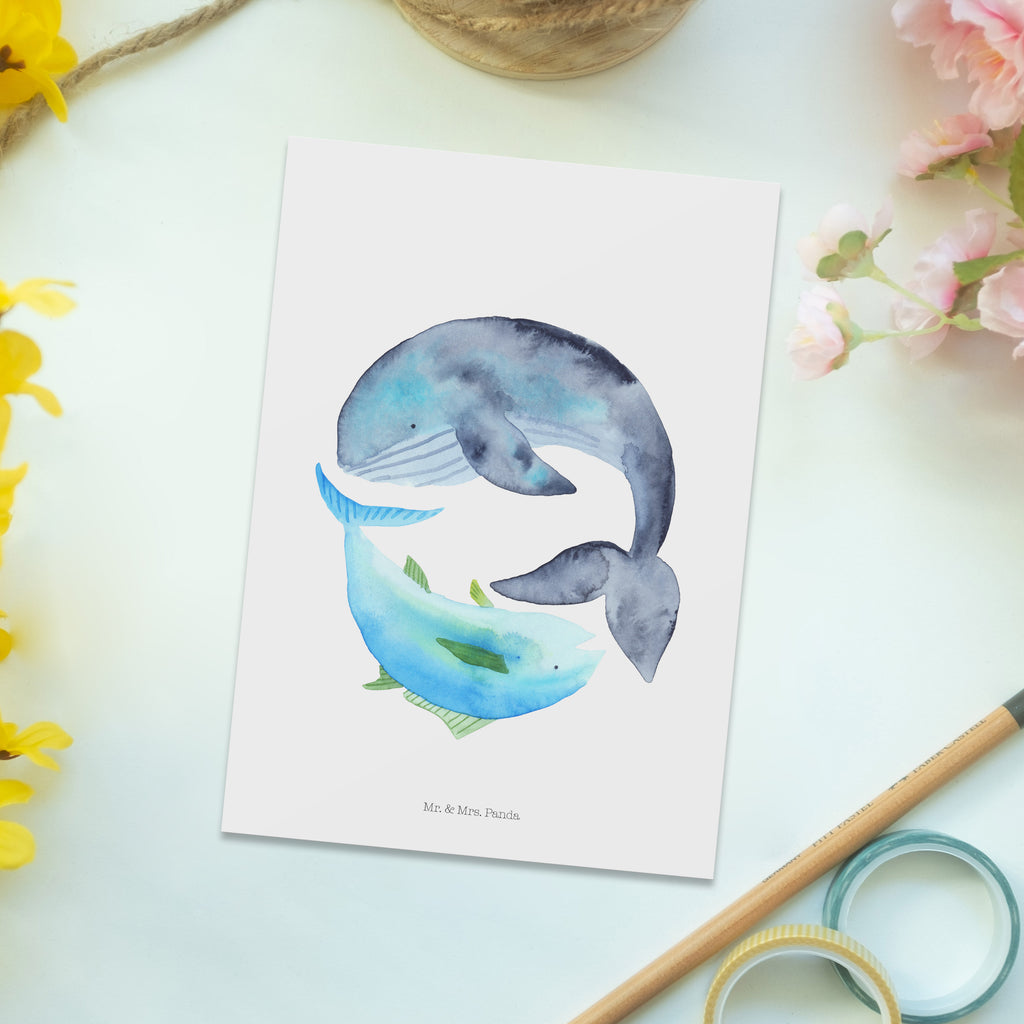 Postkarte Walfisch & Thunfisch Geschenkkarte, Grußkarte, Karte, Einladung, Ansichtskarte, Geburtstagskarte, Einladungskarte, Dankeskarte, Tiermotive, Gute Laune, lustige Sprüche, Tiere, Wal, Wahl, Tunfisch, Wortwitz lustig, Spruch lustig, Flachwitz, Witz, Spruch des Tages, Flachwitz Geschenk