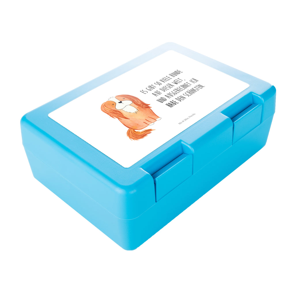 Brotdose Cavalier King Charles Spaniel Cavalier King Charles Spaniel, Hund, Cockerspaniel, Spaniel, Spruch, Sprüche, schönster Hund Brotbox, Snackbox, Lunch box, Butterbrotdose, Brotzeitbox  Hund, Hundemotiv, Haustier, Hunderasse, Tierliebhaber, Hundebesitzer, Sprüche