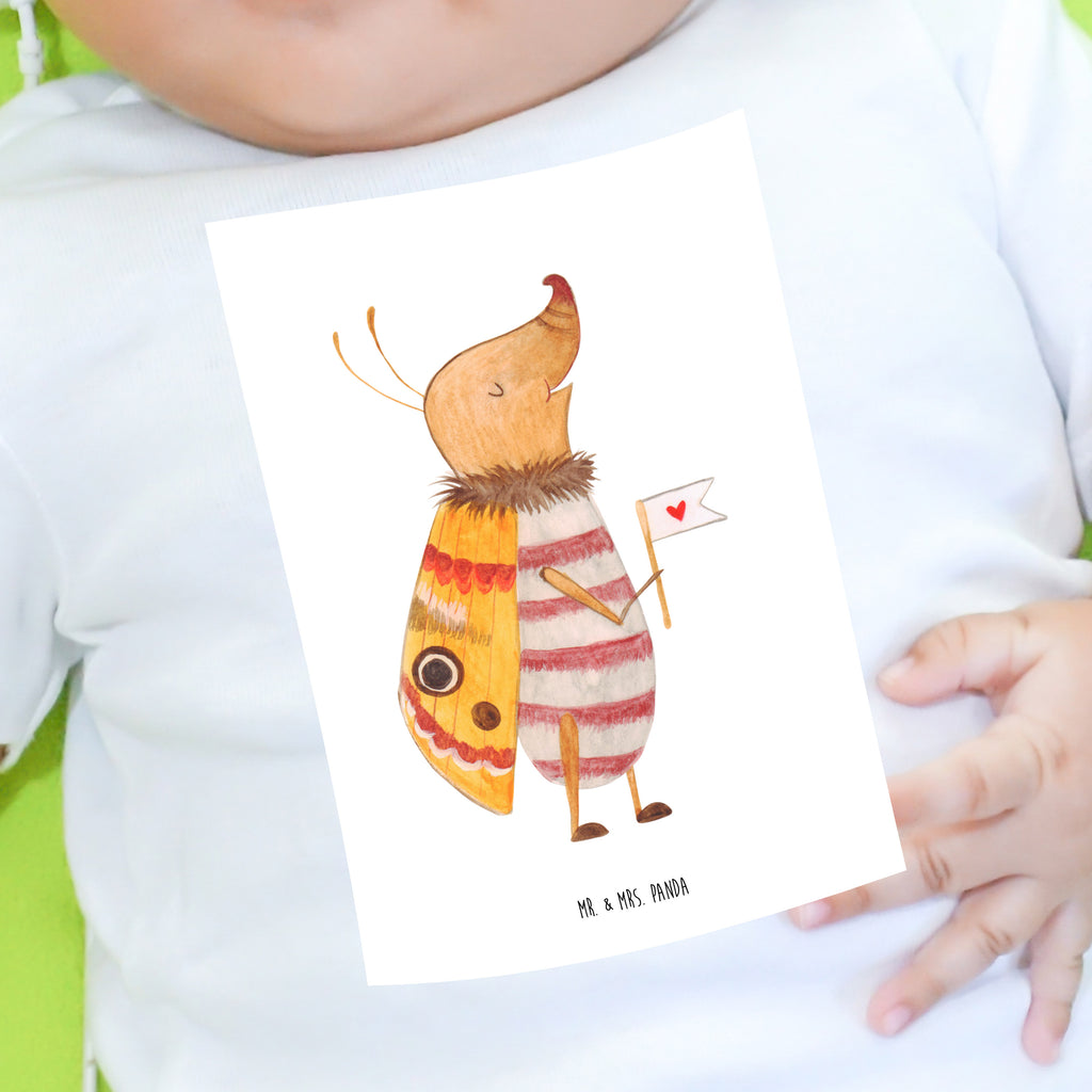 Baby T-Shirt Nachtfalter mit Fähnchen Nachtfalter, Käfer, Spruch lustig, Spruch witzig, süß, niedlich, Küche Deko, Was kostet die Welt Mädchen, Jungen, Unisex, Motiv ,Baby T-Shirt, Kurzarm, Shirt, Baby  süße Tiermotive, gute Laune, lustige Sprüche, Tiere