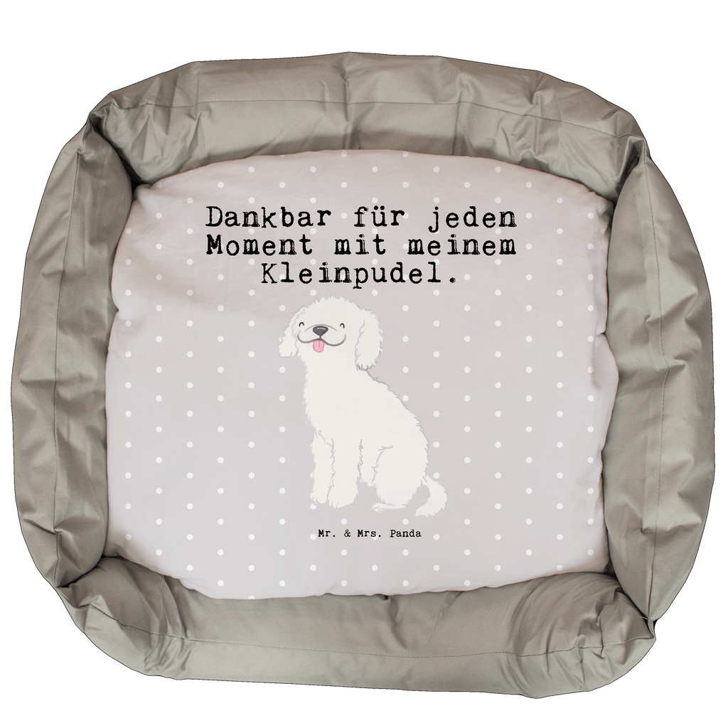 Hundebett Kleinpudel Moment Hundebett, Hundeliege, Liegeplatz, Hund, Hundekörbchen, Körbchen, Tierbett, Hundebett Luxus, Hundekissen, Hundesofa, Hundeschlafplatz, Hundebettchen, Hundemöbel, Hundedecke, Hunderasse, Rassehund, Hundebesitzer, Geschenk, Tierfreund, Schenken, Welpe, Pudel, Kleinpudel