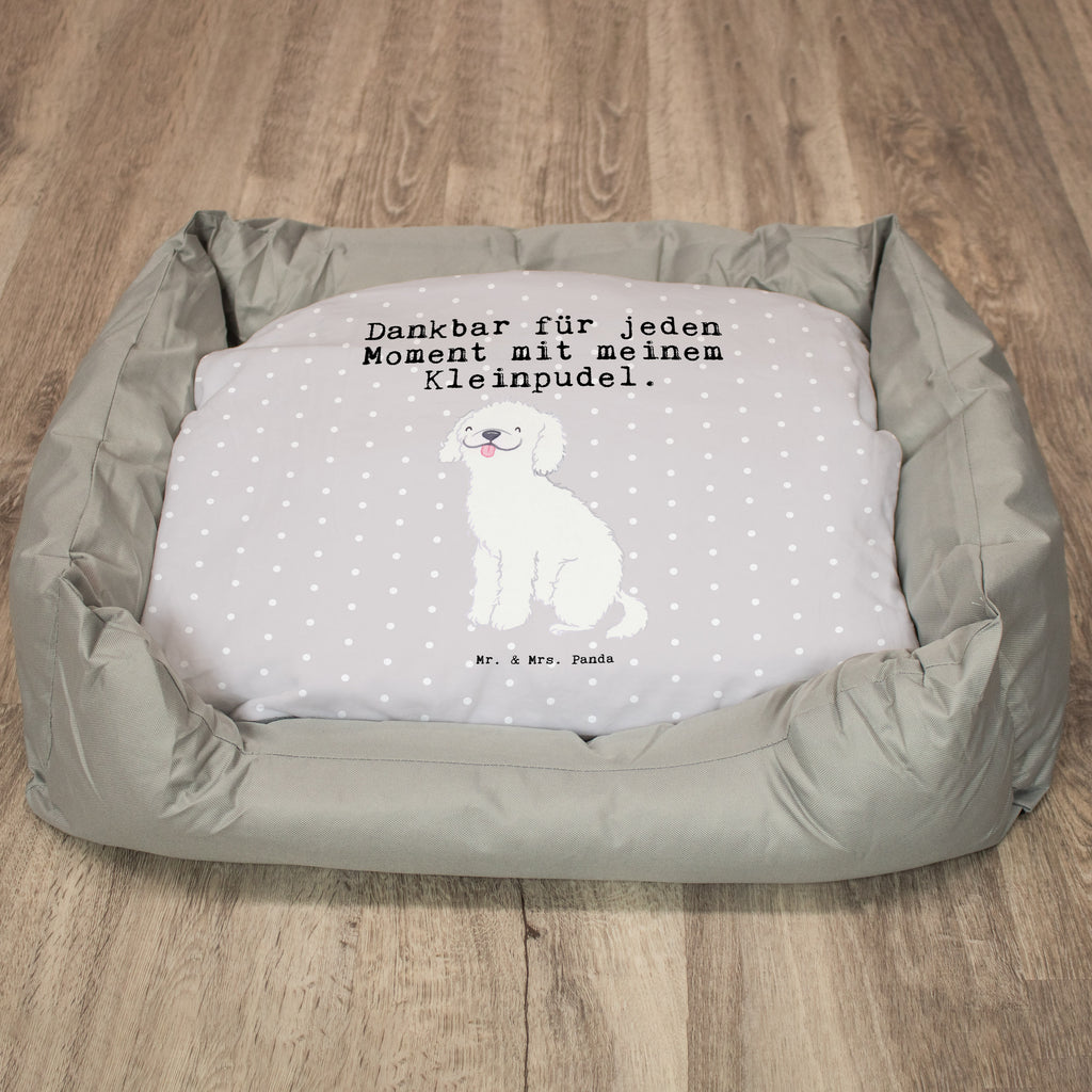 Hundebett Kleinpudel Moment Hundebett, Hundeliege, Liegeplatz, Hund, Hundekörbchen, Körbchen, Tierbett, Hundebett Luxus, Hundekissen, Hundesofa, Hundeschlafplatz, Hundebettchen, Hundemöbel, Hundedecke, Hunderasse, Rassehund, Hundebesitzer, Geschenk, Tierfreund, Schenken, Welpe, Pudel, Kleinpudel