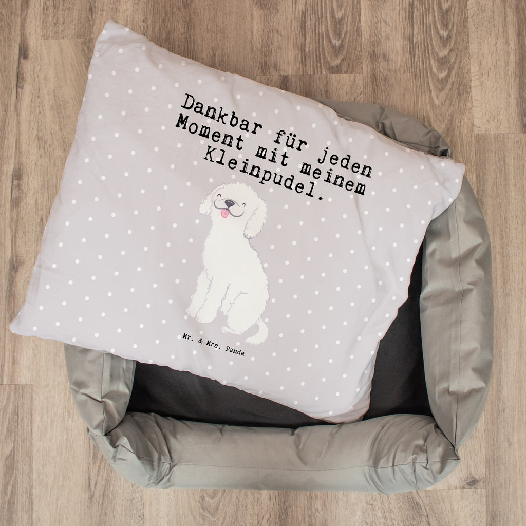 Hundebett Kleinpudel Moment Hundebett, Hundeliege, Liegeplatz, Hund, Hundekörbchen, Körbchen, Tierbett, Hundebett Luxus, Hundekissen, Hundesofa, Hundeschlafplatz, Hundebettchen, Hundemöbel, Hundedecke, Hunderasse, Rassehund, Hundebesitzer, Geschenk, Tierfreund, Schenken, Welpe, Pudel, Kleinpudel