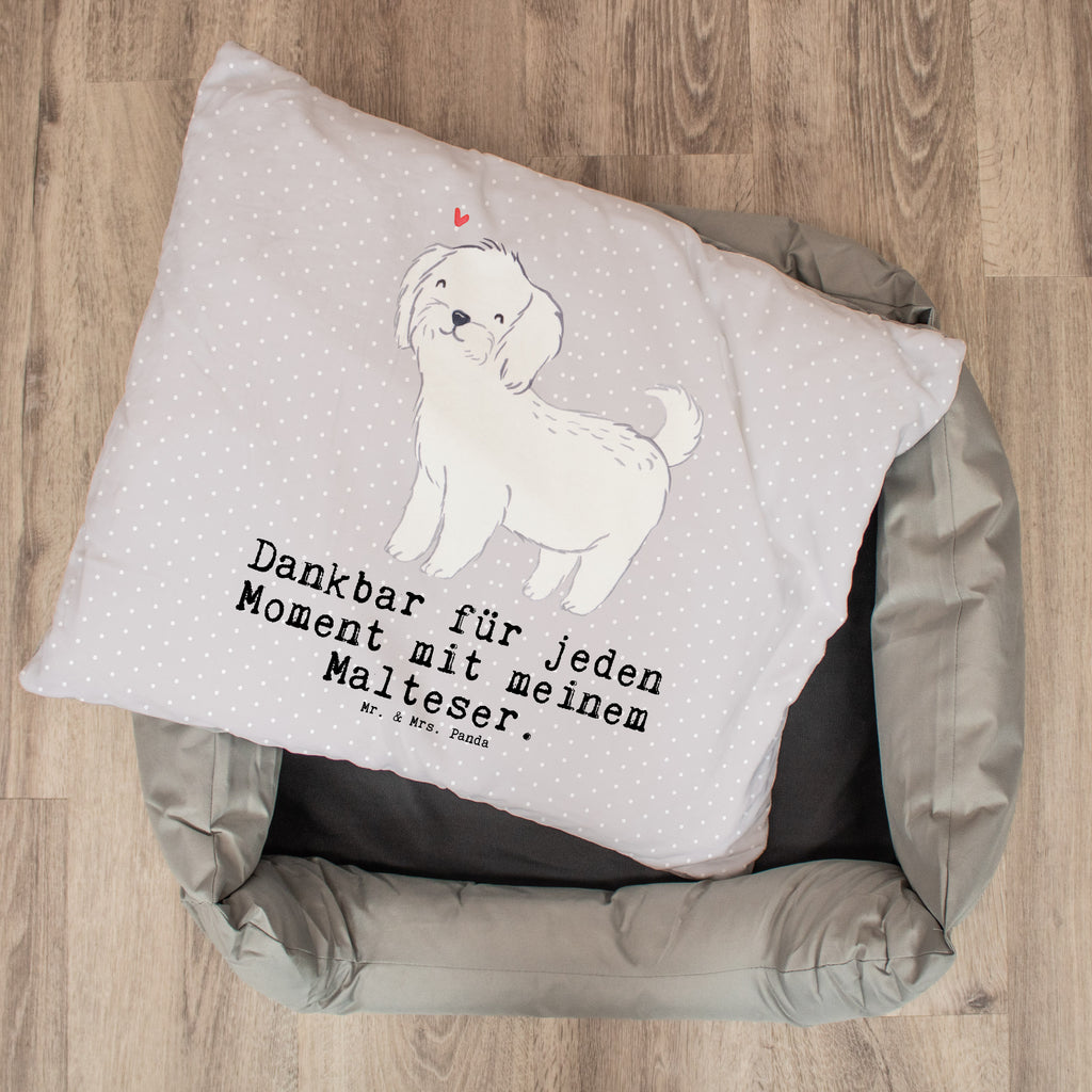 Hundebett Malteser Moment Malteser Hundebett, Hundeliege, Liegeplatz, Hund, Hundekörbchen, Körbchen, Tierbett, Hundebett Luxus  Hund, Hunderasse, Rassehund, Hundebesitzer, Geschenk, Tierfreund, Schenken, Welpe