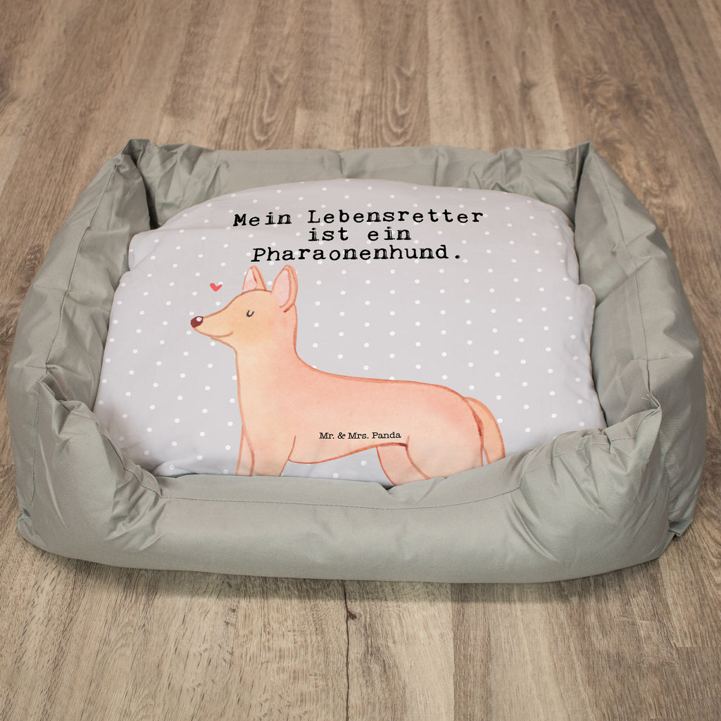 Hundebett Pharaonenhund Lebensretter Hundebett, Hundeliege, Liegeplatz, Hund, Hundekörbchen, Körbchen, Tierbett, Hundebett Luxus, Hundekissen, Hundesofa, Hundeschlafplatz, Hundebettchen, Hundemöbel, Hundedecke, Hunderasse, Rassehund, Hundebesitzer, Geschenk, Tierfreund, Schenken, Welpe, Pharaonenhund, Pharaoh Hound, Kelb tal-Fenek