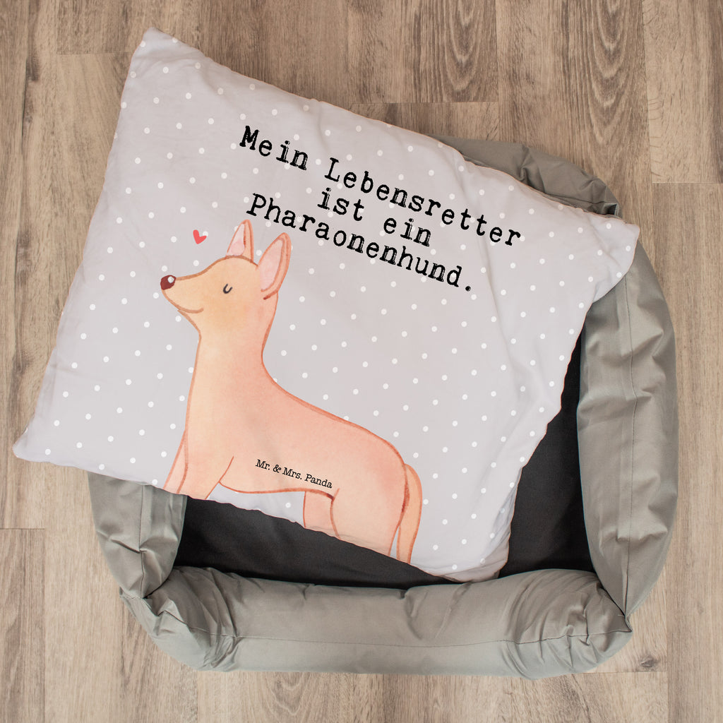 Hundebett Pharaonenhund Lebensretter Hundebett, Hundeliege, Liegeplatz, Hund, Hundekörbchen, Körbchen, Tierbett, Hundebett Luxus, Hundekissen, Hundesofa, Hundeschlafplatz, Hundebettchen, Hundemöbel, Hundedecke, Hunderasse, Rassehund, Hundebesitzer, Geschenk, Tierfreund, Schenken, Welpe, Pharaonenhund, Pharaoh Hound, Kelb tal-Fenek