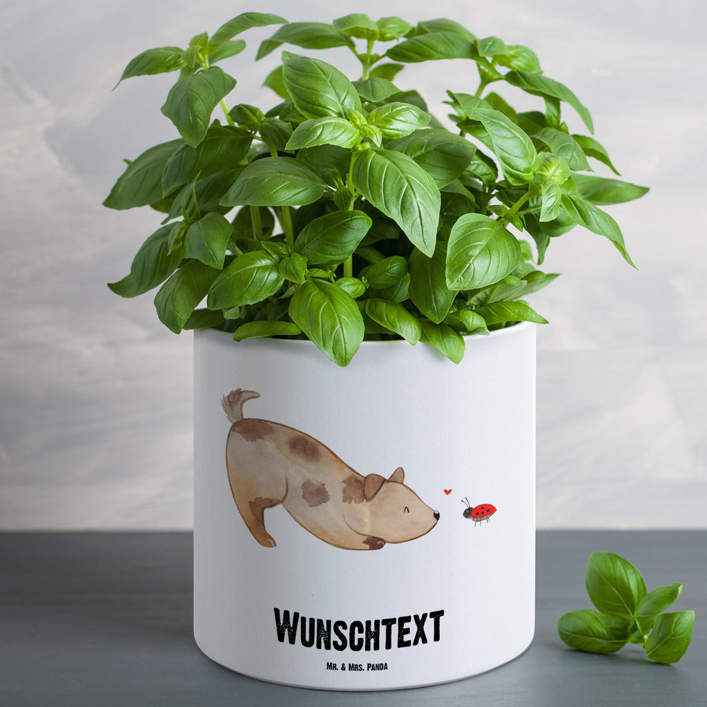 Personalisierter XL Blumentopf Hund Marienkäfer Personalisierter Blumentopf, Personalisierter Übertopf, Personalisierter Pflanztopf, Personalisierter Keramiktopf, Personalisierter Kräutertopf, Personalisierter Topf, Personalisierter Pflanzkübel, Personalisierter Blumenübertopf, Hund, Hundemotiv, Haustier, Hunderasse, Tierliebhaber, Hundebesitzer, Sprüche, Hunde, Hundespruch, Marienkäfer, Mischling, Mischlinghund