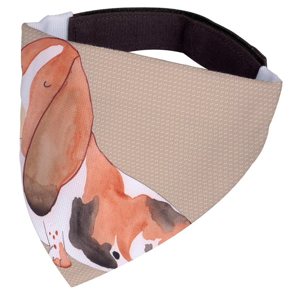 Hundehalstuch Hund Basset Hound