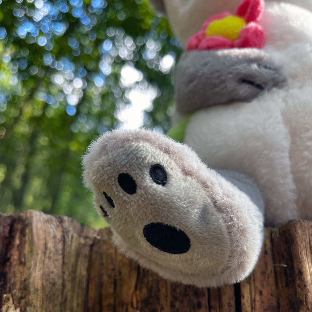 Kuscheltier Panda mit Blume  Kuscheltier, Stofftier, Plüsch, Plüschtier, Teddy, Spielzeug, Schmusetier,   süße Tiermotive, gute Laune, lustige Sprüche, Tiere
